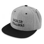 Kšiltovka Horsefeathers HEATH CAP heather gray